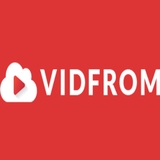 The "Vidfrom Youtube MP3" user's logo