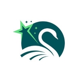 The "Vidya Nova" user's logo