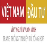 The "Việt Nam Đầu Tư – Toàn cảnh thị trường kinh tế Việt Nam" user's logo