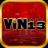 The "vin13net" user's logo
