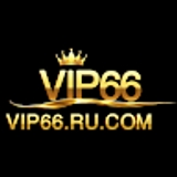 The "Vip66 ru com" user's logo