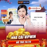 The "Vipwin" user's logo
