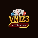 The "VN123 GG" user's logo