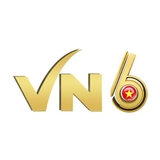 The "VN6 " user's logo