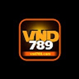 The "VND789 Cam" user's logo