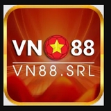 The "vn88srl" user's logo