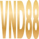 The "VND88 center" user's logo