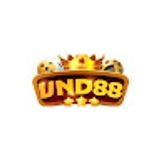 The "VND88 Cổng Game" user's logo