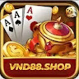 The "VND88" user's logo