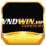 The "VNDWIN VNDWIN" user's logo