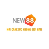 The "NEW88 nhà cái" user's logo