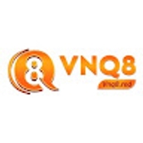 The "VN Q8" user's logo