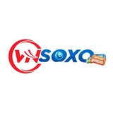 The "vnsoxo1org" user's logo