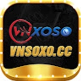 The "Vnsoxo" user's logo