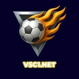 The "vsc1net" user's logo