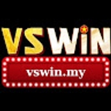 The "Vswin my" user's logo