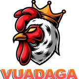 The "vuadagaorg" user's logo