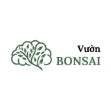 The "Vườn Bonsai Tinh Mộc" user's logo