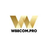 The "W88 PRO" user's logo