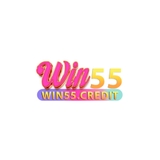 The "Win55 Accountant" user's logo