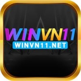 The "winvn11net" user's logo