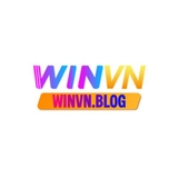 The "WINVN" user's logo