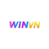 The "Winvn" user's logo