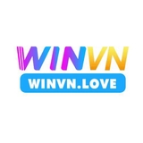 The "Winvn" user's logo