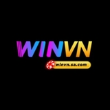 The "WINVN SA" user's logo
