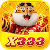 The "X333 " user's logo