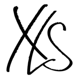 The "XLS.STUDIO & BLEUTONE" user's logo