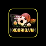 The "Xdoris VN" user's logo