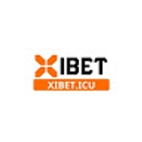 The "XIBET" user's logo
