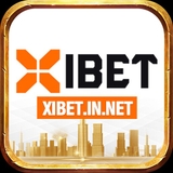 The "xibet in net" user's logo