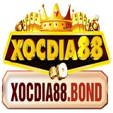 The "Xocdia88 " user's logo