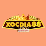 The "XOCDIA88 WALES" user's logo