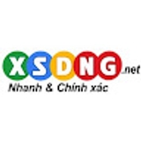 The "XSDNG" user's logo