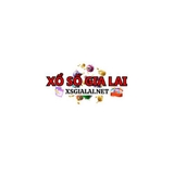 The "XSGIALAI" user's logo