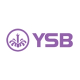 The "YSB66" user's logo