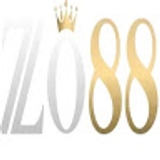 The "Zo88rt cn com" user's logo