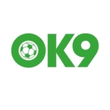 The "0k9 diy" user's logo