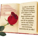 Lucila Olguin