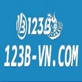 The "123B vn" user's logo