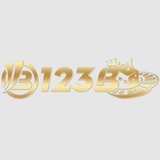 The "123B vnme" user's logo