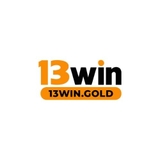 The "13WIN" user's logo