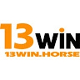 The " 13WIN" user's logo