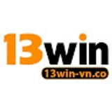 The "13Win vnco" user's logo