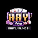 The "Haywin Cổng game đổi thưởng uy tín, hấp dẫ" user's logo