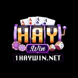 The "Haywin – Sân chơi game đổi thưởng" user's logo