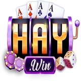 The "1Haywin tech" user's logo